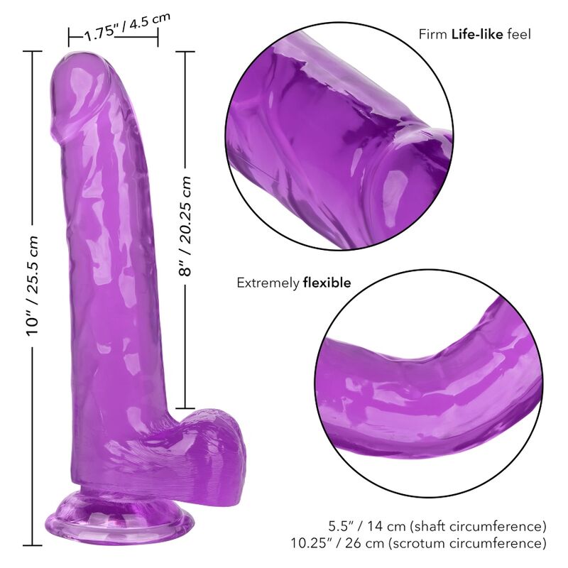 CALEXOTICS - SIZE QUEEN DILDO PURPLE 20.3 CM