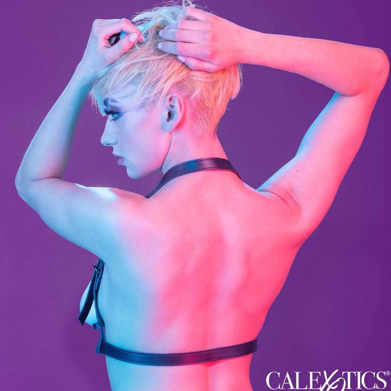 CALEXOTICS - EUPHORIA HALTER BUCKLE HARNESS BLACK