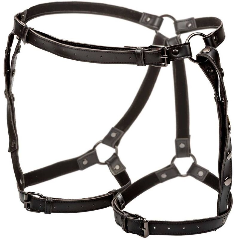 CALEXOTICS - EUPHORIA PLUS SIZE RIDING THIGH HARNESS