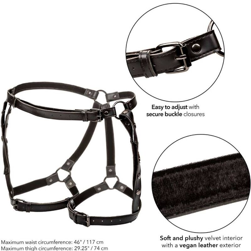 CALEXOTICS - EUPHORIA PLUS SIZE RIDING THIGH HARNESS