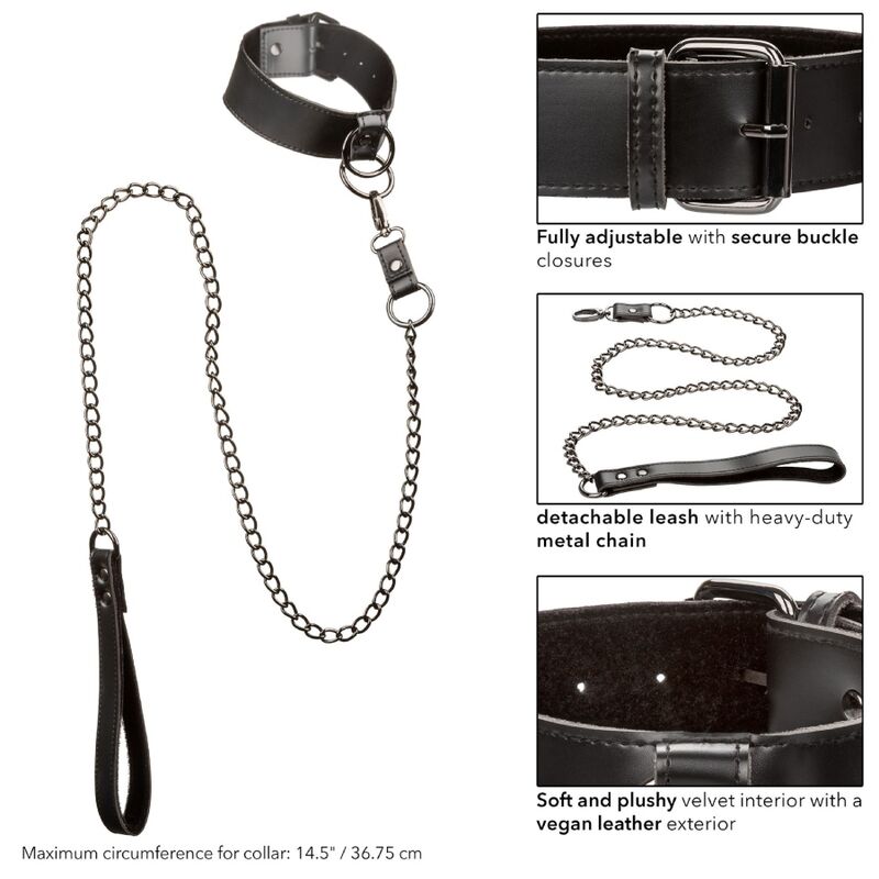 CALEXOTICS - EUPHORIA COLLAR WITH CHAIN LEASH